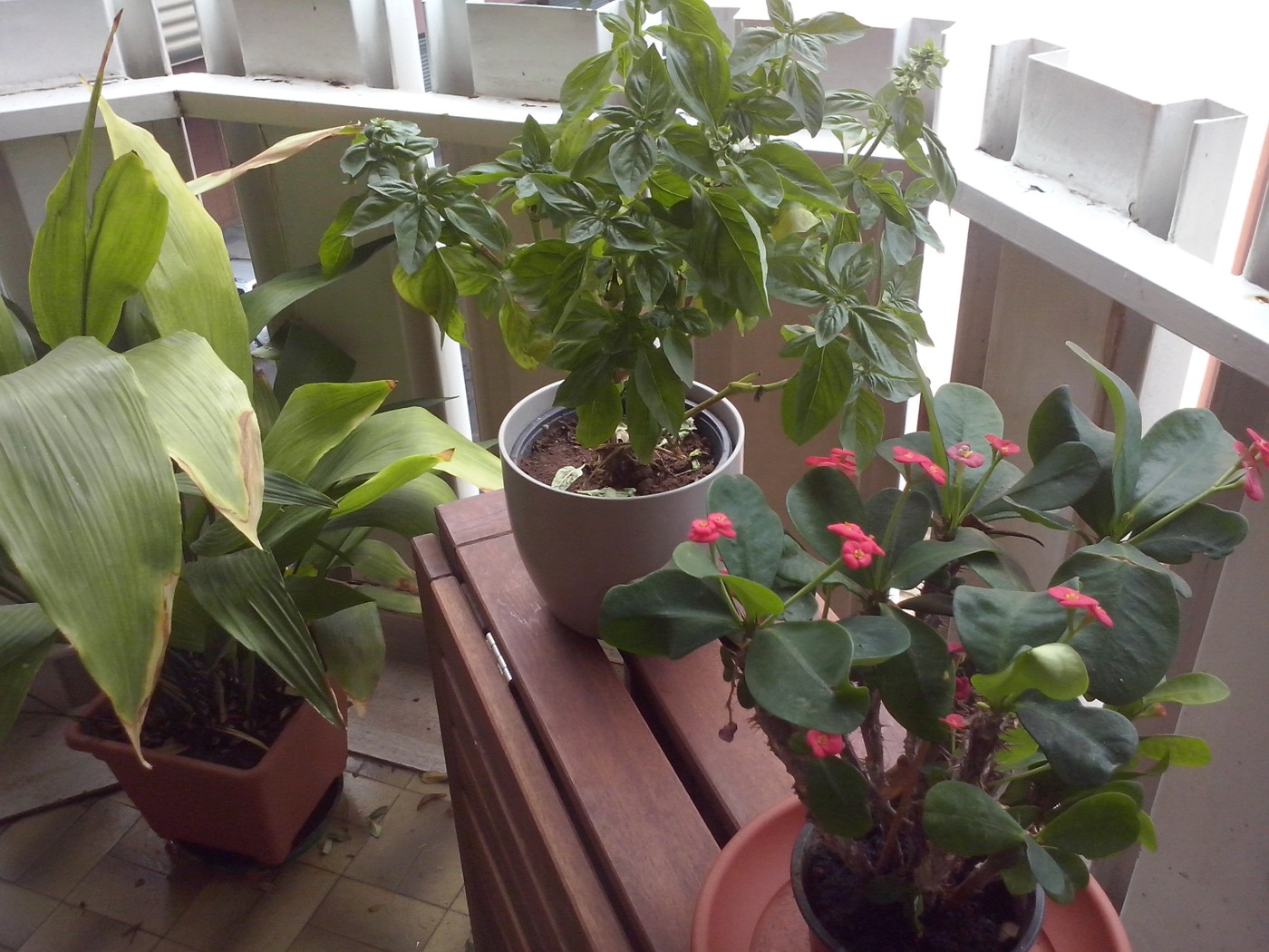 Airbnb geeft je een kijkje bij anderen thuis.