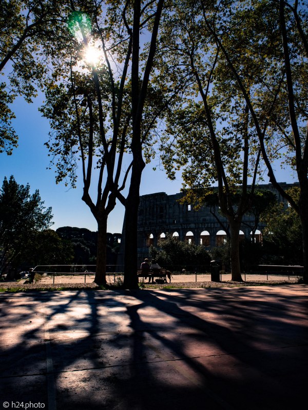 Foto: Mariëlle van der Marel