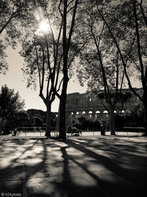 Foto: Mariëlle van der Marel