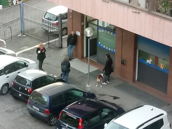 In de rij bij de dierenarts.