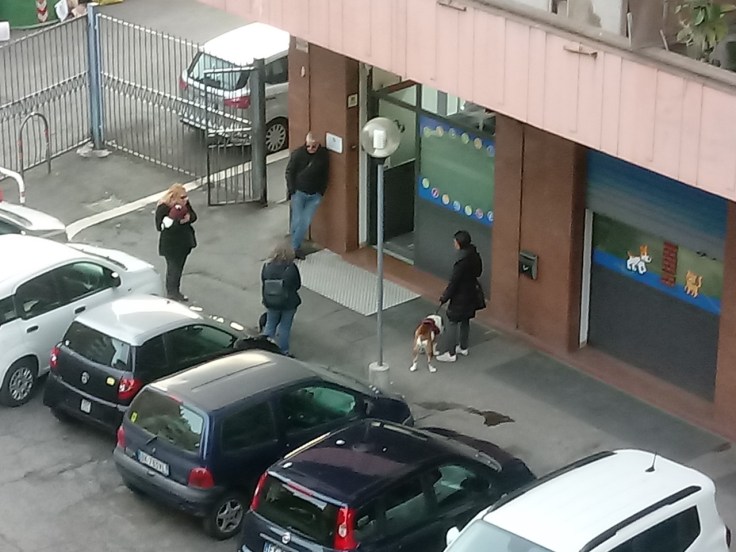 In de rij bij de dierenarts.